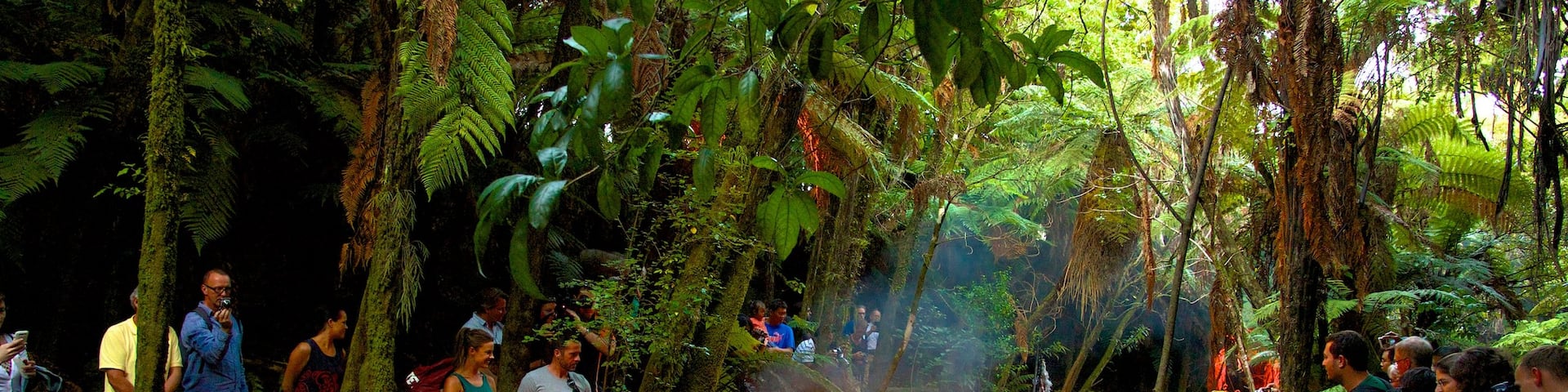 Rotorua showing indigenous culture, a river or creek and rainforest