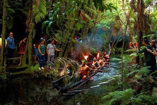 Rotorua montrant culture autochtone, forêt vierge et rivière ou ruisseau