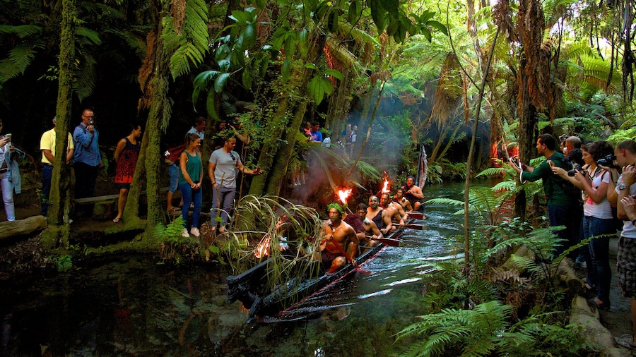 Rotorua cho thấy rừng mưa, sông lạch và văn hóa bản địa