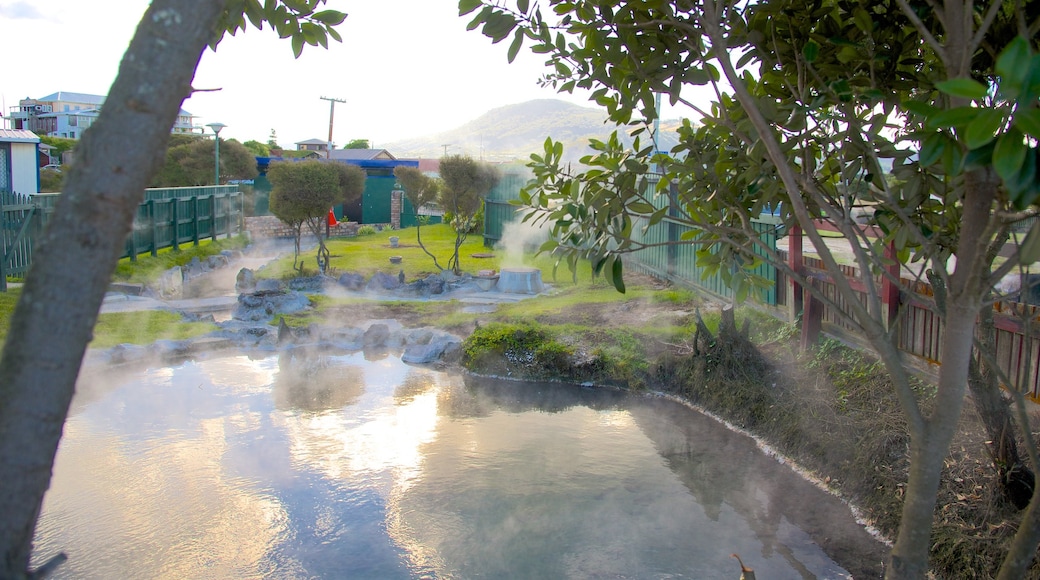 Rotorua som inkluderar en het källa och en trädgård