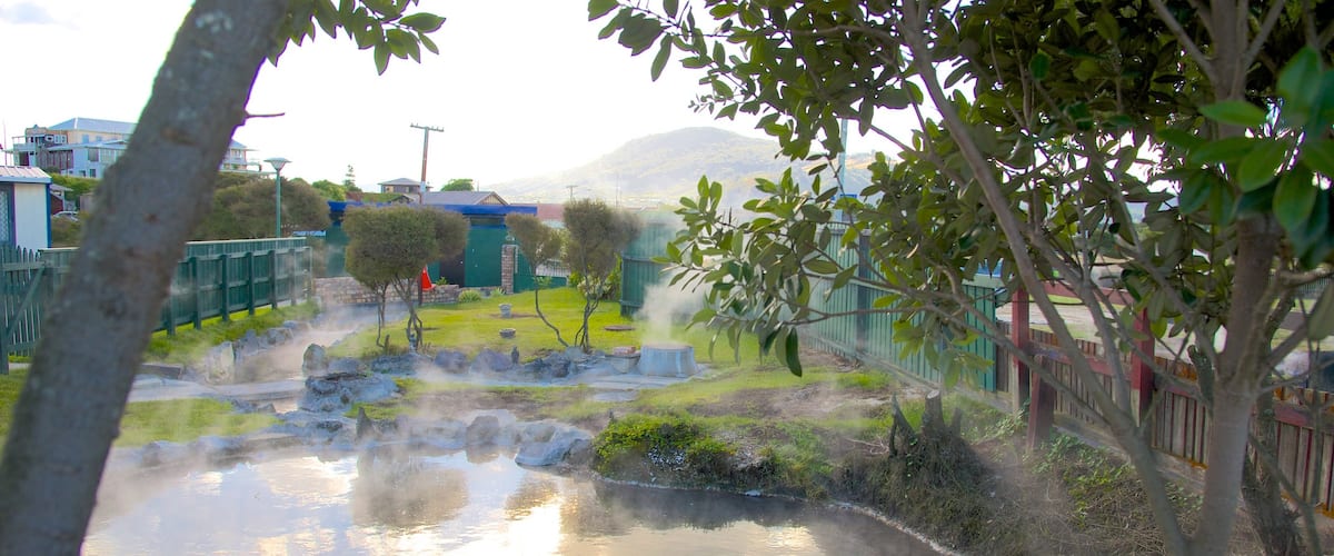 Rotorua showing a hot spring and a garden