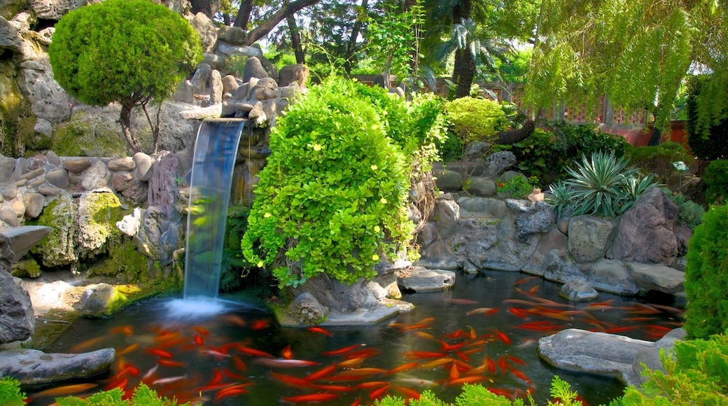 Chihkan Tower showing a pond and animals