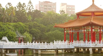 Tainan-Park das einen See oder Wasserstelle und Garten