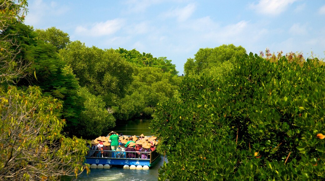 Parque Nacional de Taijiang ofreciendo manglares, embarcaciones y un río o arroyo