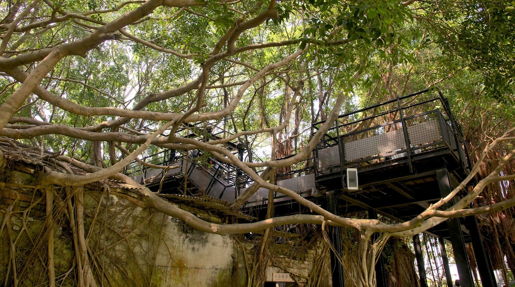 Anping Tree House