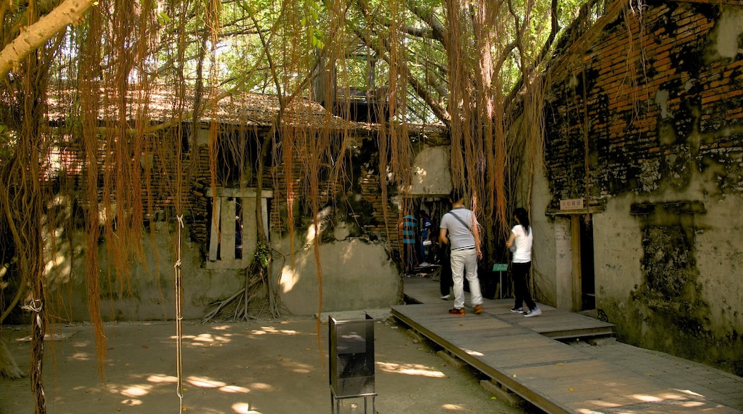 Casa del árbol Anping