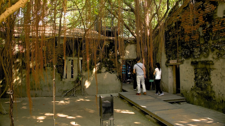 Anping Tree House