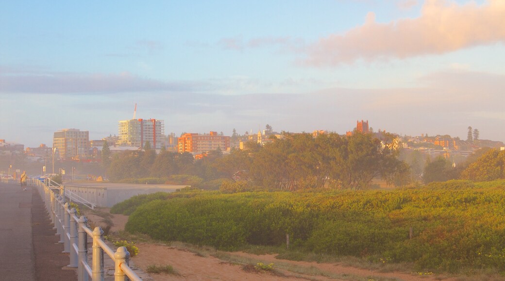Newcastle mettant en vedette brume ou brouillard et vues littorales