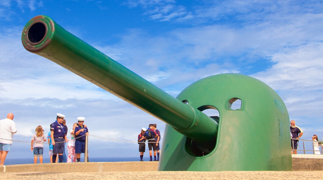 Newcastle featuring military items and heritage elements