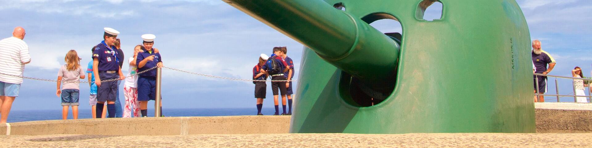 Newcastle which includes military items and heritage elements