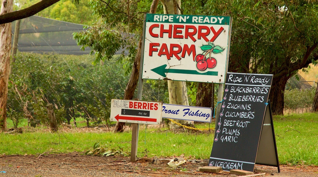 Red Hill which includes signage