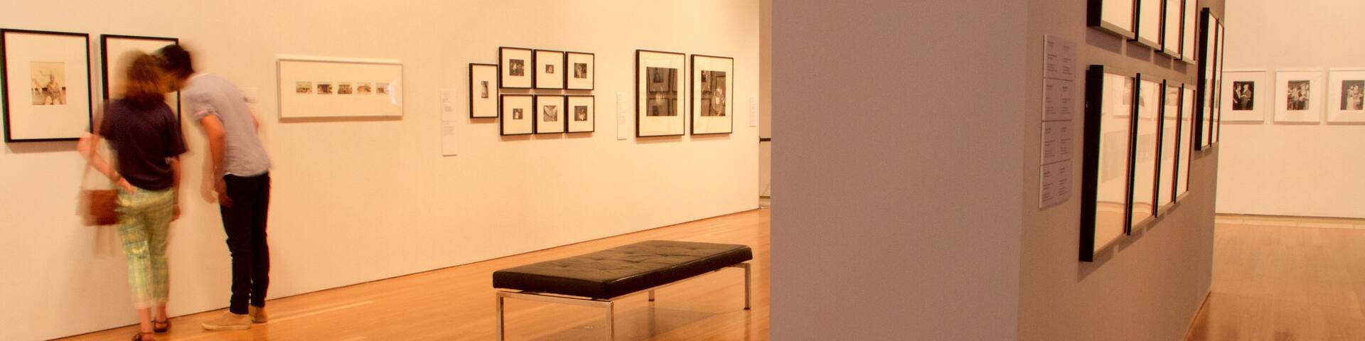 Newcastle featuring interior views