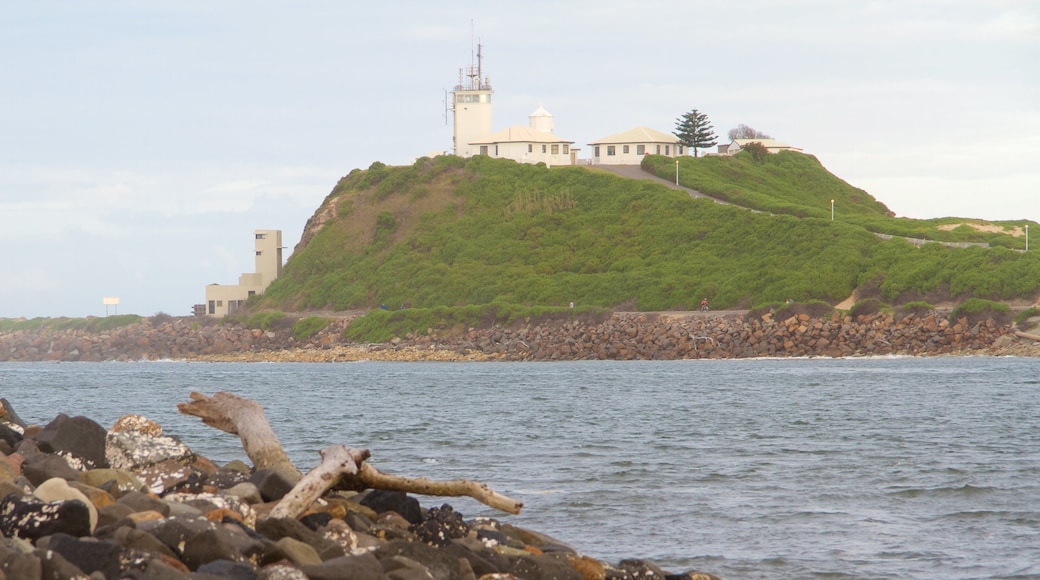 Newcastle featuring general coastal views and a lighthouse