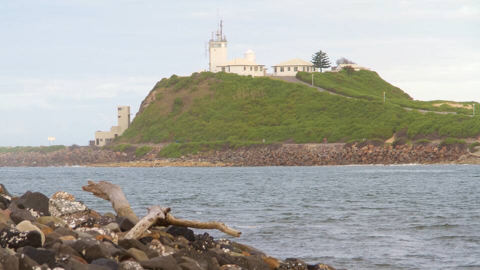 Newcastle which includes general coastal views and a lighthouse