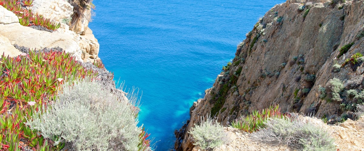 Isola del Giglio which includes general coastal views