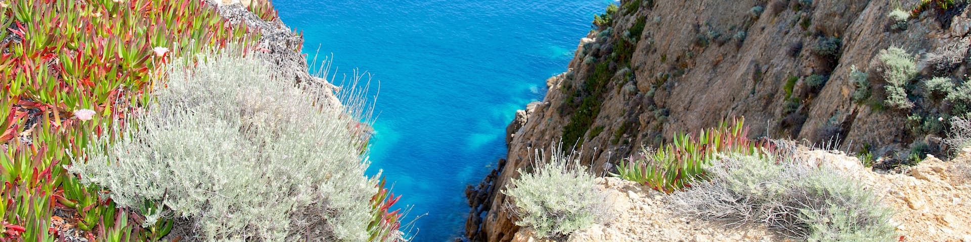 Isola del Giglio das einen allgemeine KĂŒstenansicht