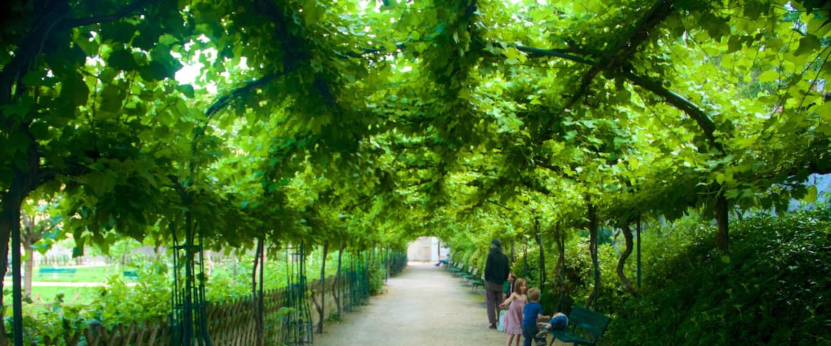 8th Arrondissement featuring a park