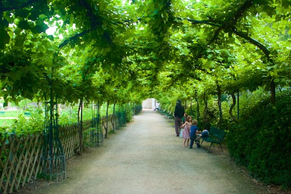 8th Arrondissement showing a park