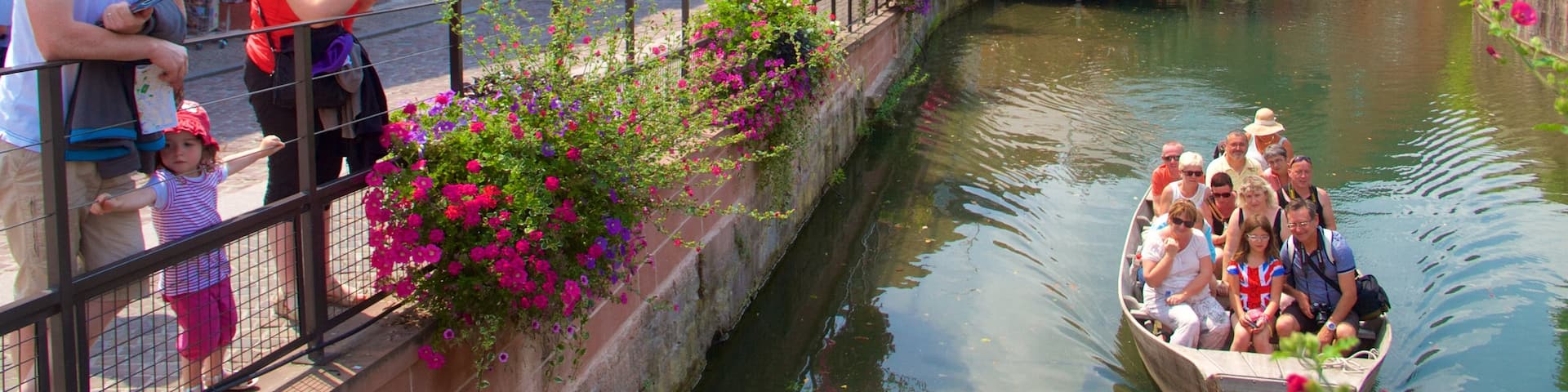 Colmar qui includes fleurs, navigation et ville