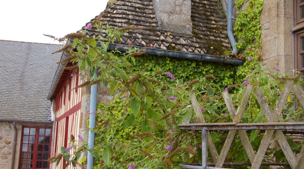 Le Mont-Saint-Michel showing flowers