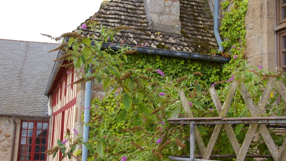 Le Mont-Saint-Michel featuring flowers