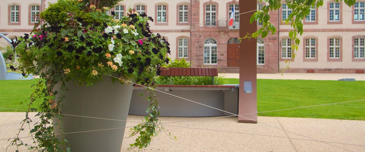 Colmar showing flowers, heritage elements and a park