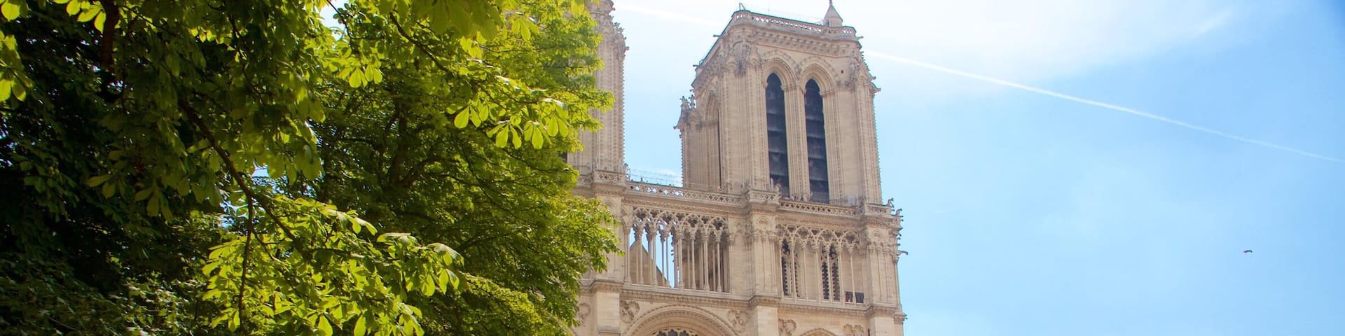 Notre Dame Cathedral which includes heritage architecture, a church or cathedral and heritage elements