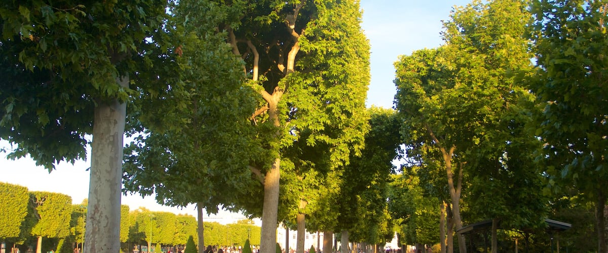 Champ de Mars featuring a park