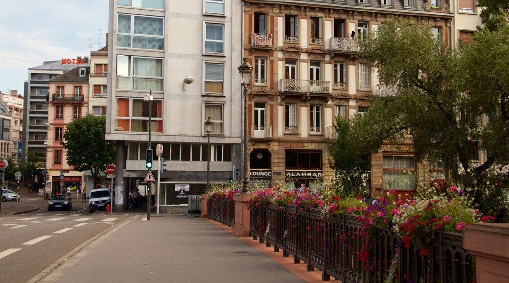 Train Station Square showing flowers and a city