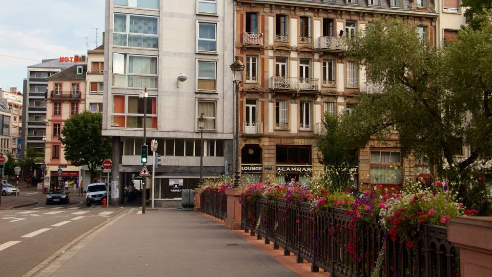 Plaza de la Estación de Trenes que incluye una ciudad y flores