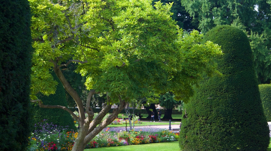 Place de la République mettant en vedette jardin