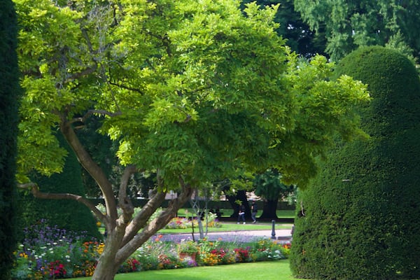 Place de la République mettant en vedette jardin