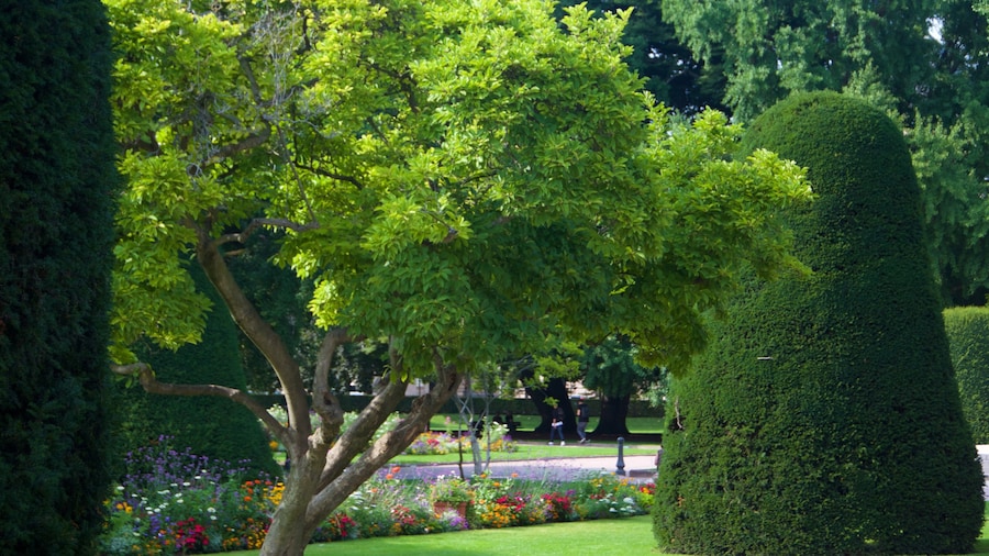 Republic Square featuring a garden