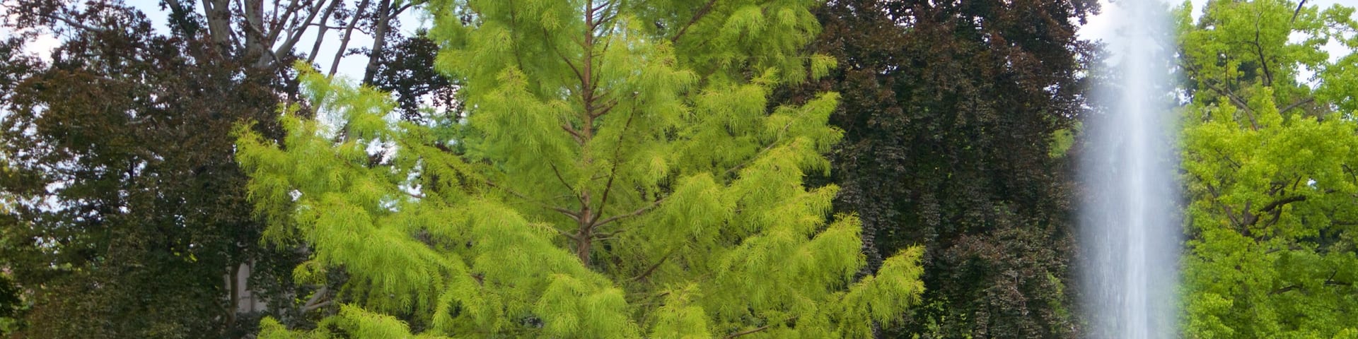 L\'Orangerie Garden which includes a fountain and a garden