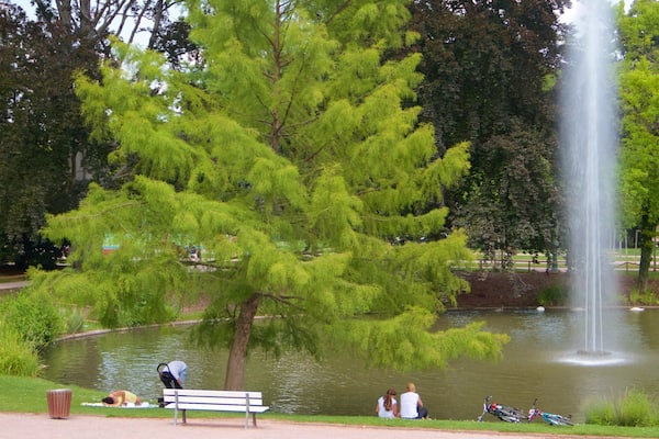 Parc de l\'Orangerie qui includes parc et fontaine