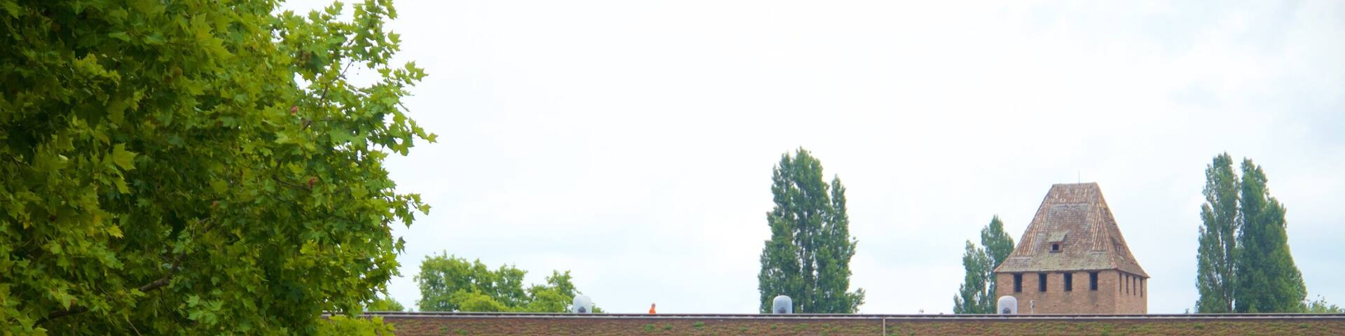 Vauban Dam showing a bridge and a river or creek