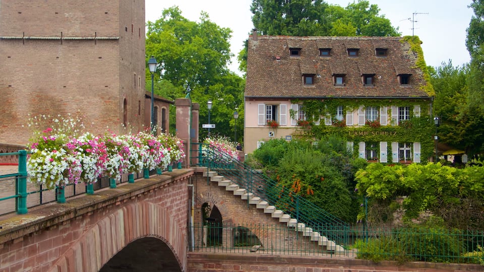 Petite France which includes flowers and heritage elements