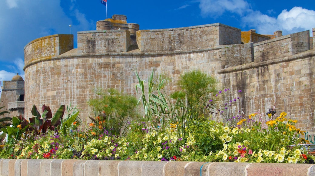 Musée de la Ville das einen Geschichtliches und Blumen