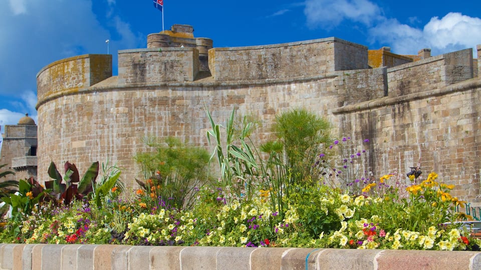 Musee de la Ville featuring heritage elements and flowers