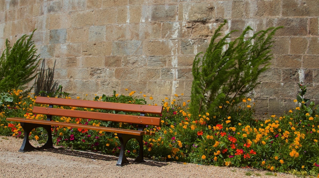 Musee de la Ville bevat bloemen