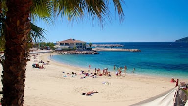 Toulon Beach showing tropical scenes and a sandy beach