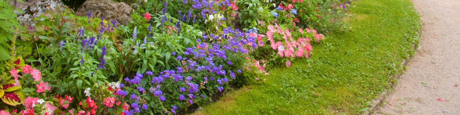 Grenoble featuring a park and flowers