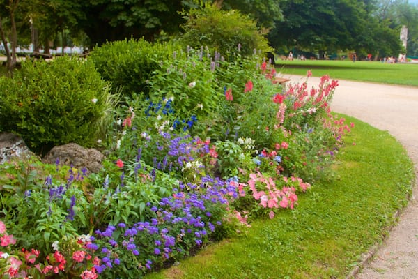Grenoble welches beinhaltet Blumen und Park