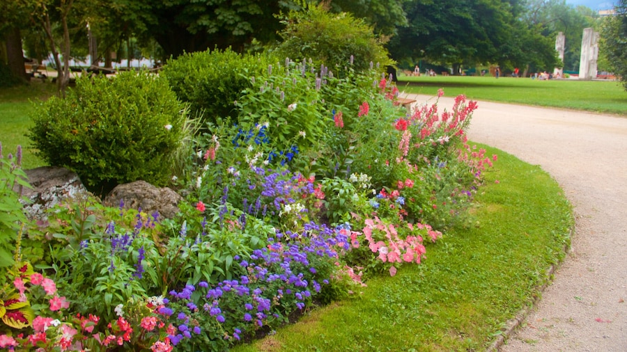 Grenoble caratteristiche di fiori e parco