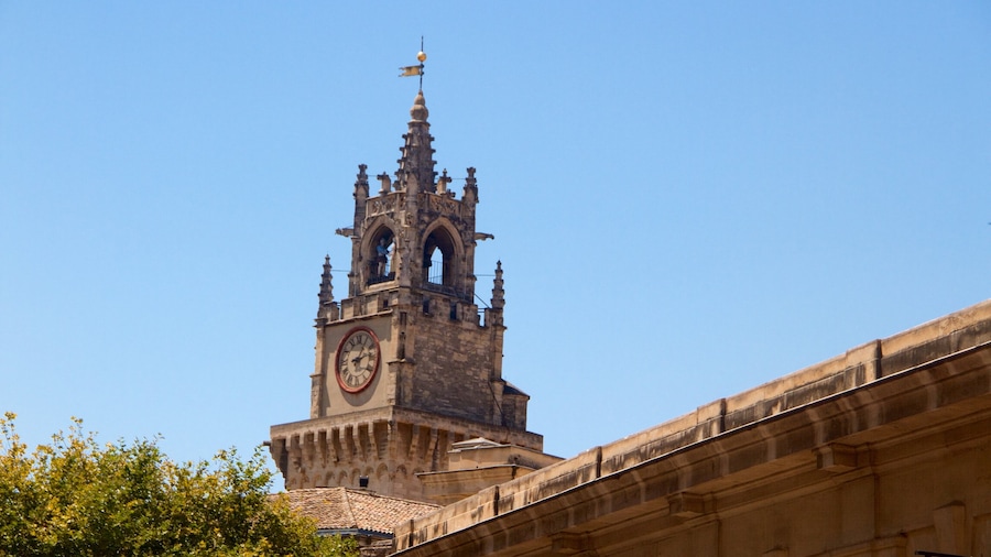 Aviñón, Vaucluse mostrando patrimonio de arquitectura y elementos del patrimonio