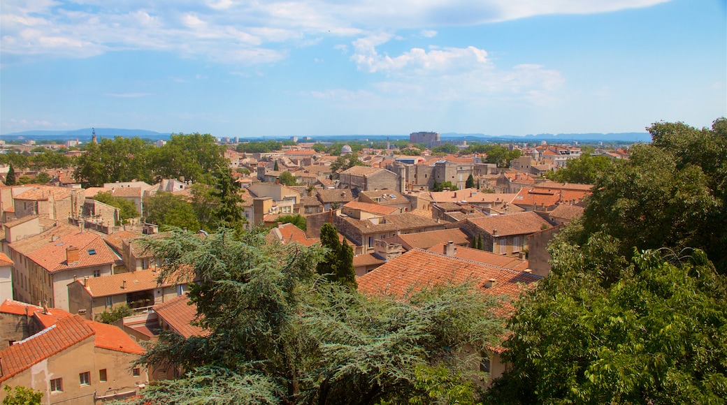 Avignon qui includes ville