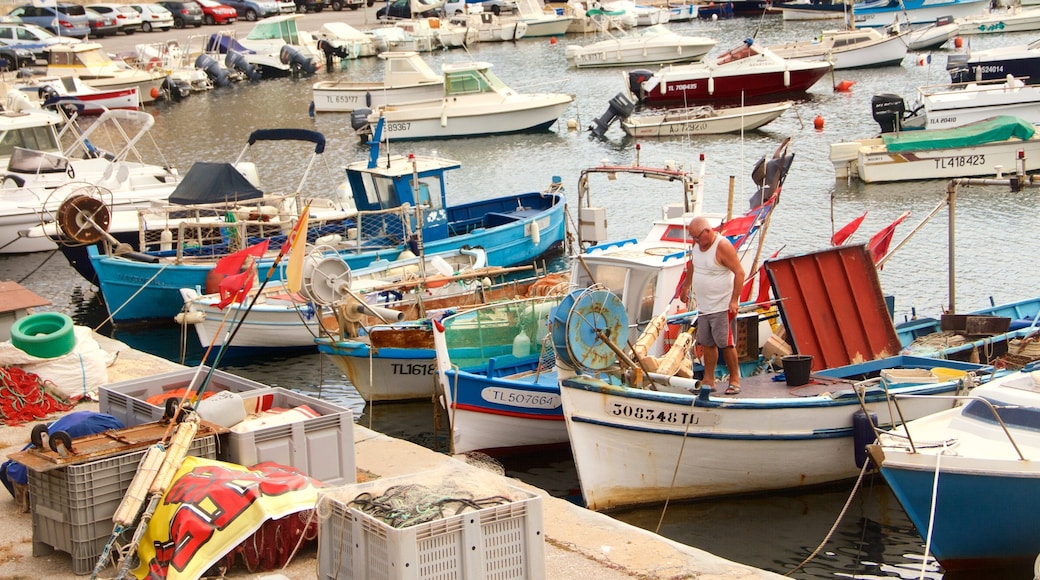 Le Mourillon showing a marina