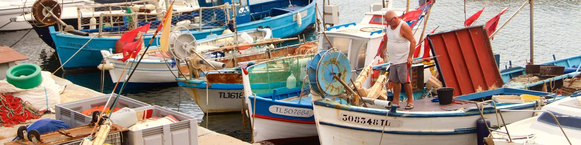 Le Mourillon which includes a marina