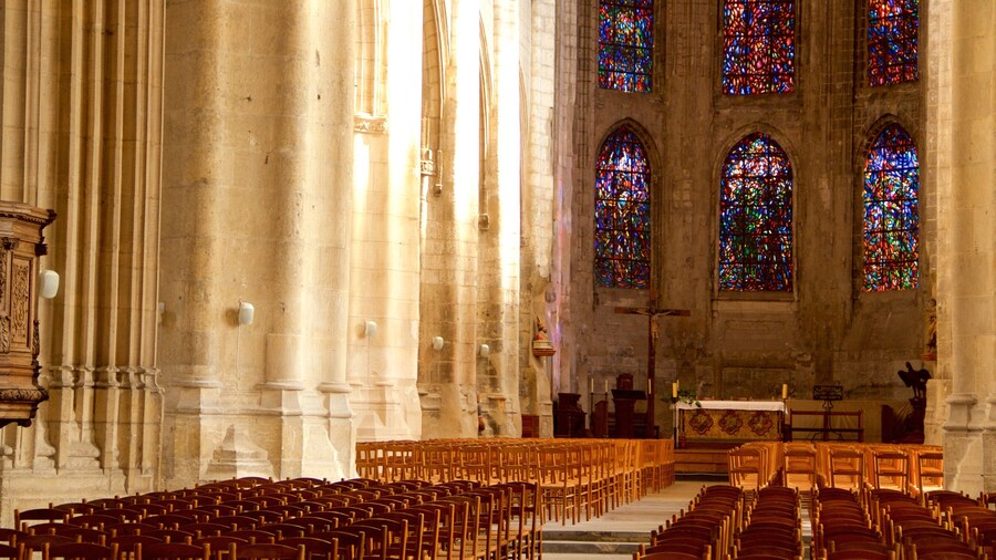 Kathedraal van Saint-Vulfran bevat een kerk of kathedraal, interieur en historische architectuur