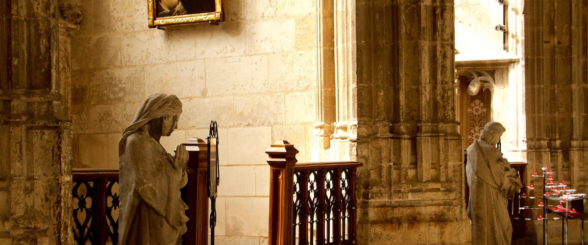Saint-Vulfran Cathedral which includes interior views, heritage architecture and a church or cathedral